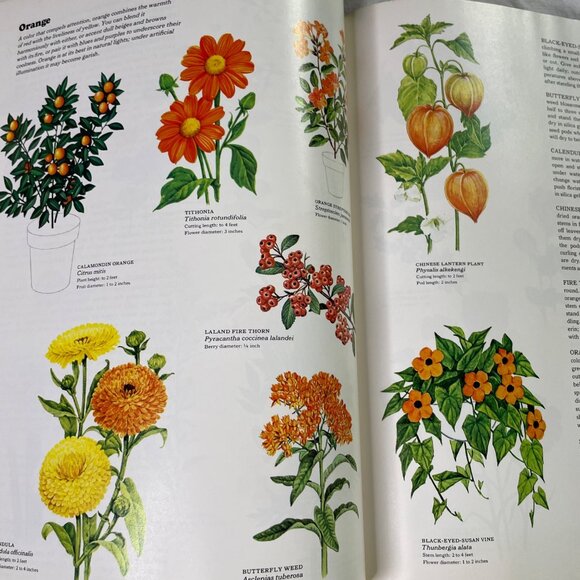 How to Decorate With Plants Time Life Encyclopedia of Gardening 1978 u - Picture 12 of 12